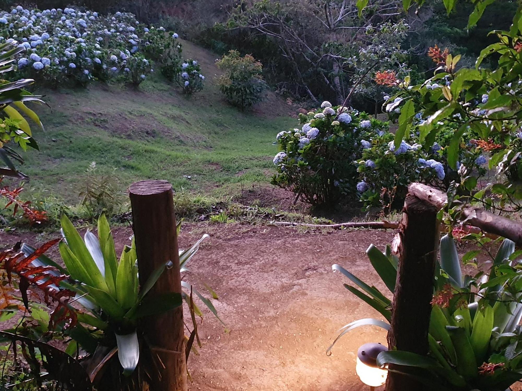 Quinta Esencia Villa Alajuela ภายนอก รูปภาพ