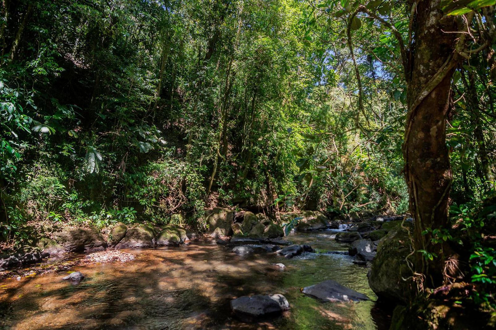 Quinta Esencia Villa Alajuela ภายนอก รูปภาพ